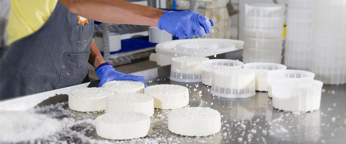 Food Processing Worker processing food