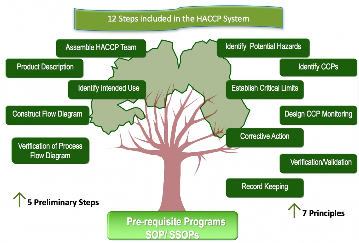 haccp 12 langkah