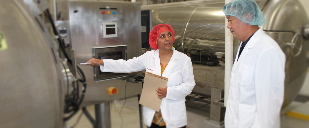 Auditor inspecting food processing factory