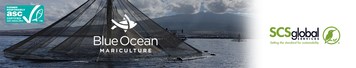Blue Ocean Mariculture