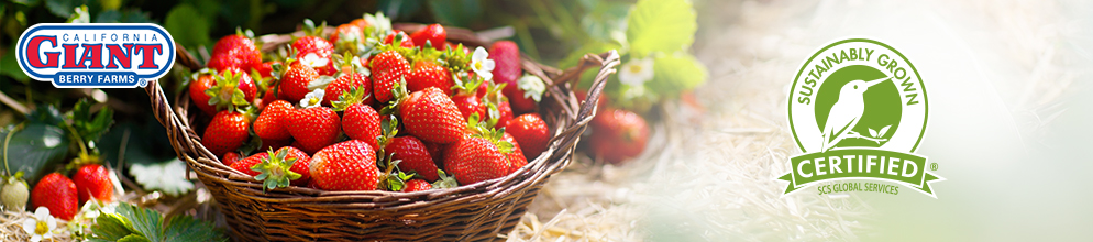 Sustainably Grown Certified