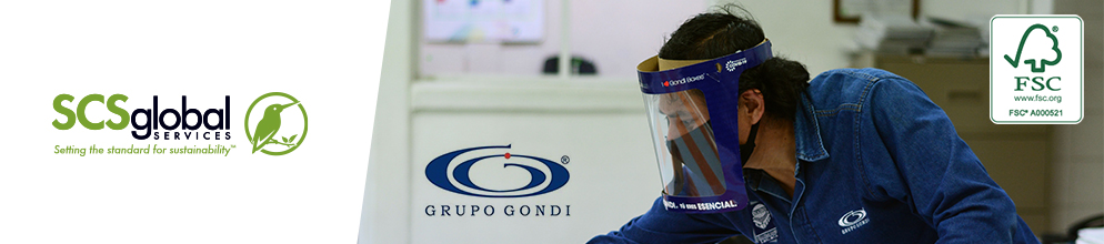 Grupo Gondi