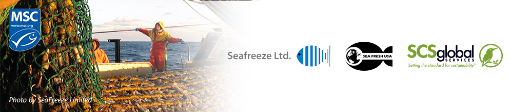 Seafresh Squid