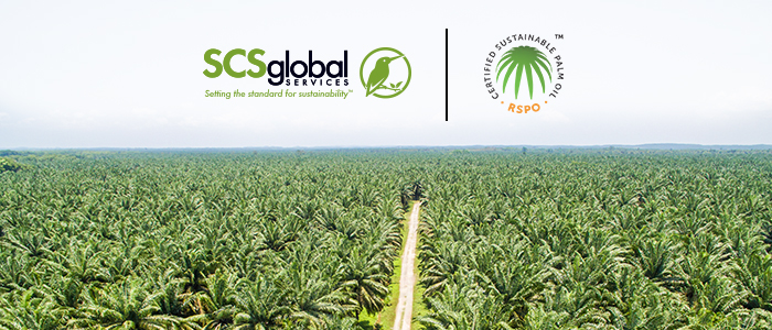 Roundtable on Sustainable Palm Oil (RSPO)