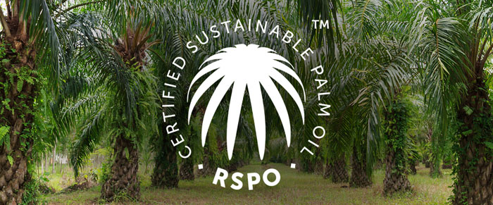 Roundtable On Sustainable Palm Oil Logo