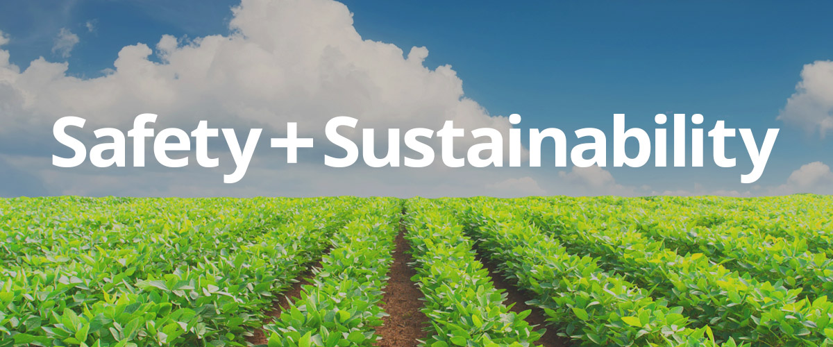 Sustainably grown crop field
