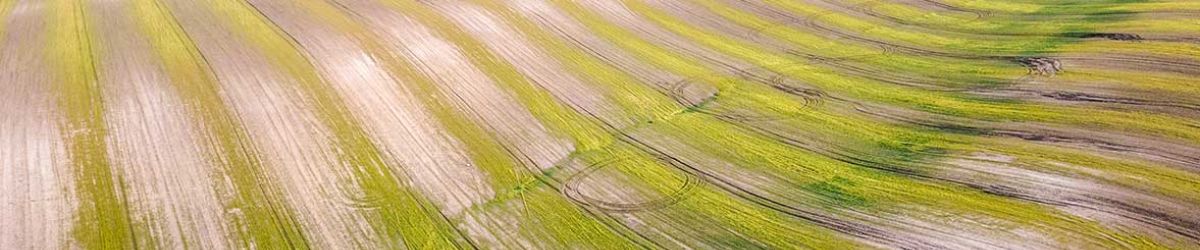 Ein Feld aus der Vogelperspektive