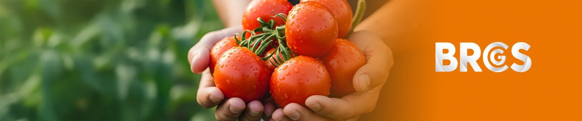 Giải thích về Chứng nhận BRCGS: Những điều nhà sản xuất thực phẩm và bao bì cần biết