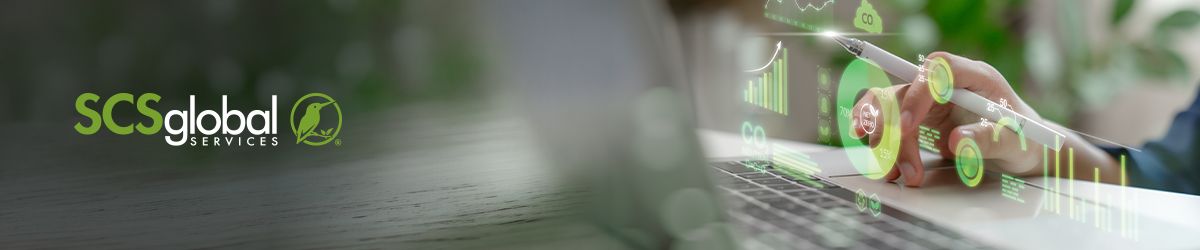 CSRD Assurance Readiness: What Business Leaders Need to Know Now 