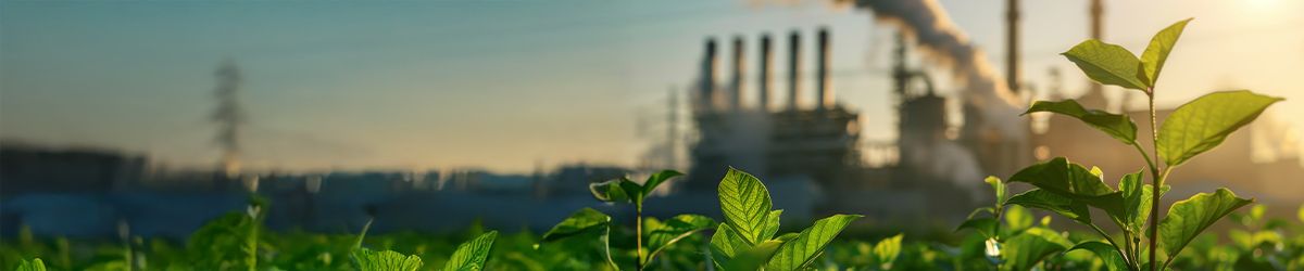 Os benefícios da certificação segundo a norma actualizada de neutralidade de carbono da SCS