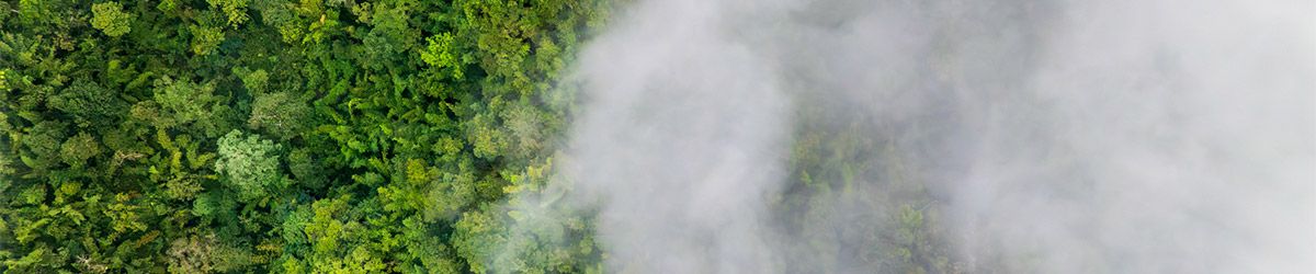Carbon Neutral Certification FAQs