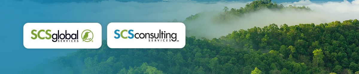 Espanhol - Como é que a EUDR está a mudar o paradigma empresarial na América Latina
