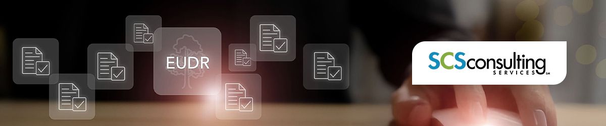 EUDR as a Transition Plan: From Compliance to Business Transformation 