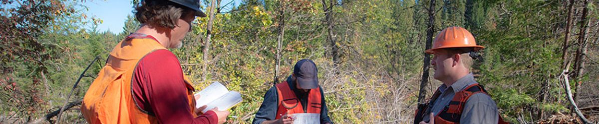 Forest Audit Forest Management