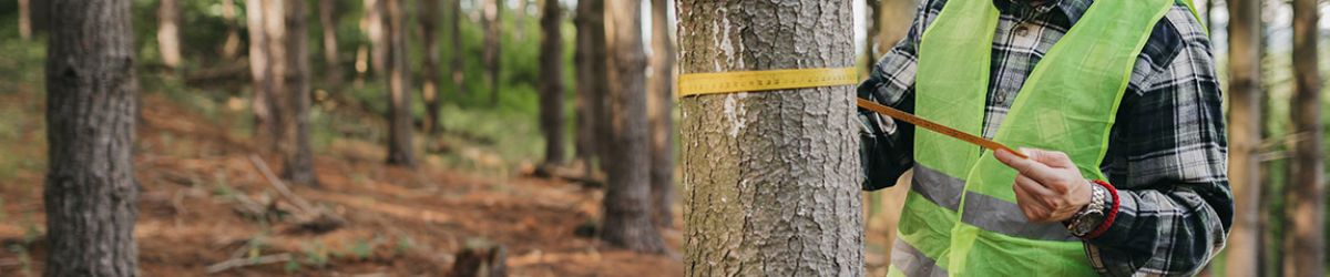 Understanding the Value of Forestry Certification Standards –  A Response to Concerns about Certified Forest Operations