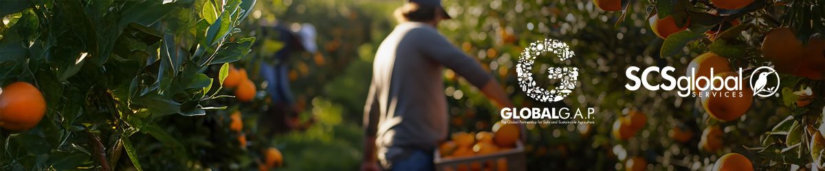 การเรียนรู้ GLOBALG.AP IFA V6 อย่างเชี่ยวชาญ: เครื่องมือและแหล่งข้อมูลสำหรับเกษตรกร