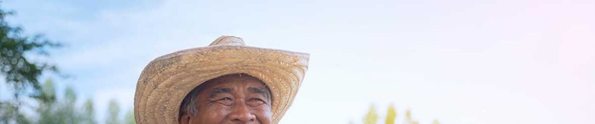 Smiling man in a field