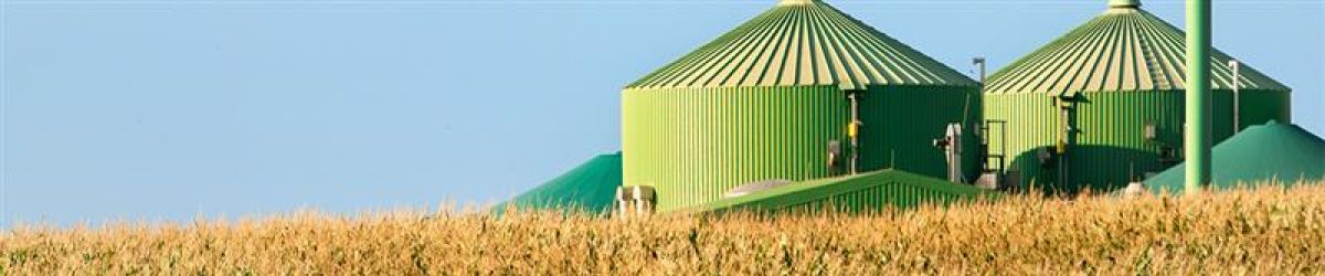 ใบรับรอง 2BS สำหรับ Biocombustíveis, Biogás และ Food & Feed: Requisitos, Benefícios, Ferramentas Essenciais และ Impacto no Mercado