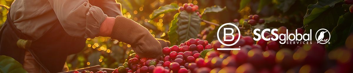 SCS Global Services Named an Approved Assurance Provider for Enterprises Seeking B Corp Certification