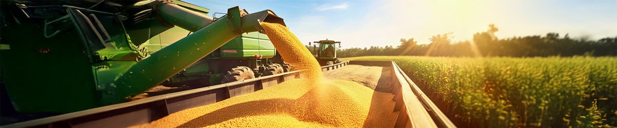 Bunge becomes 1st crushing company to certify soybeans with low land-use change impact for SAF production