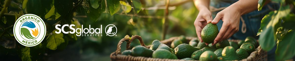 SCS de Mexico Approved to Offer Organic Certification