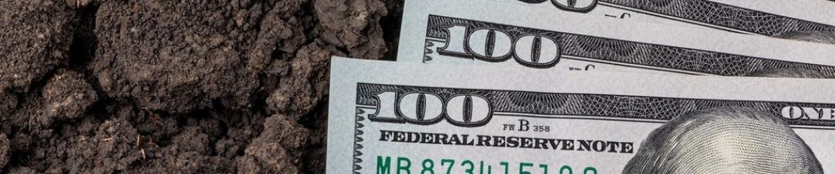 Money on Dirt