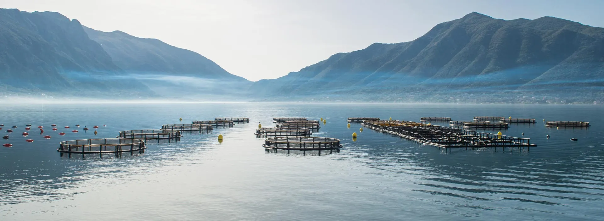 Aquaculture Stewardship Council