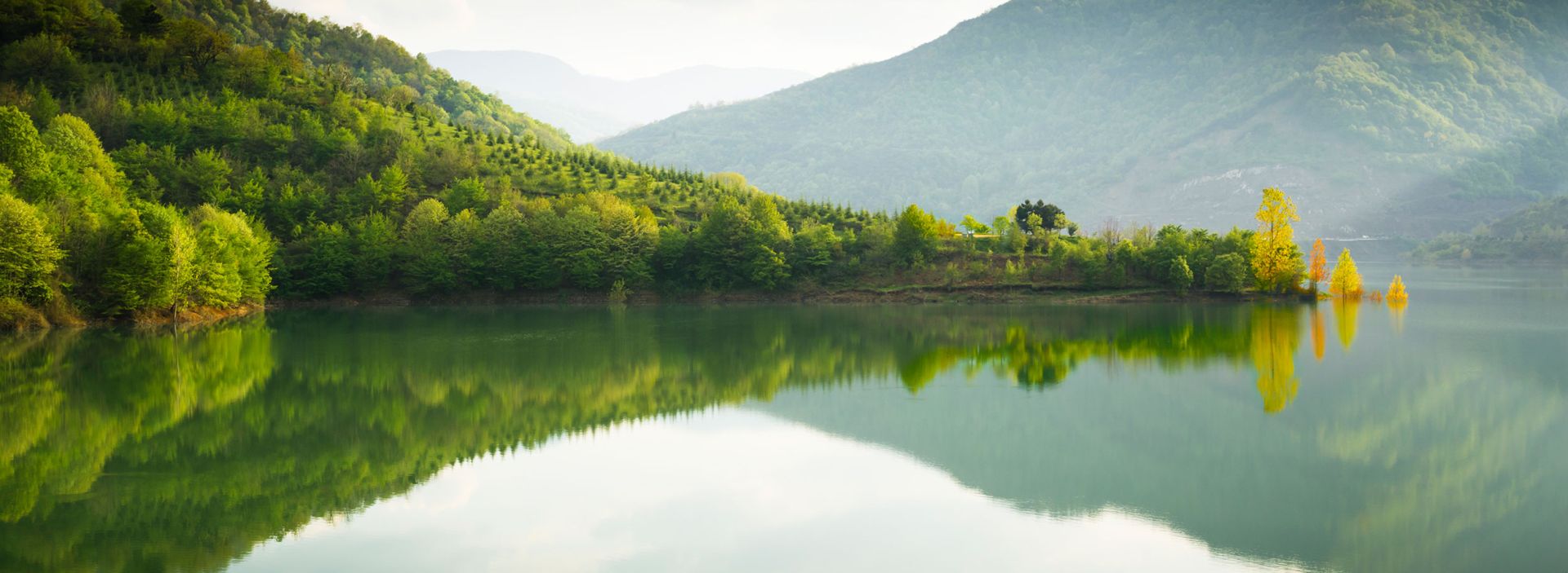  碳抵消核查