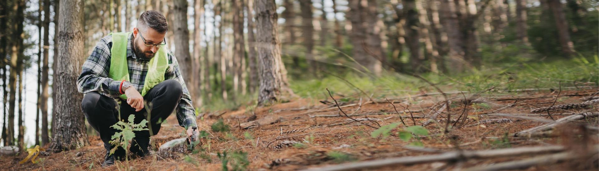 Medewerker in Forest