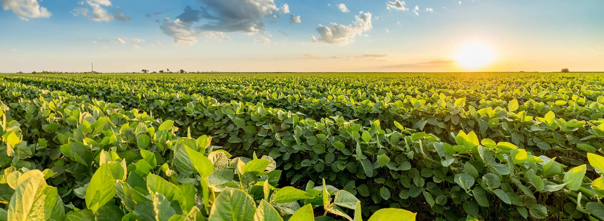 SCS Global Services propose désormais la certification ProTerra