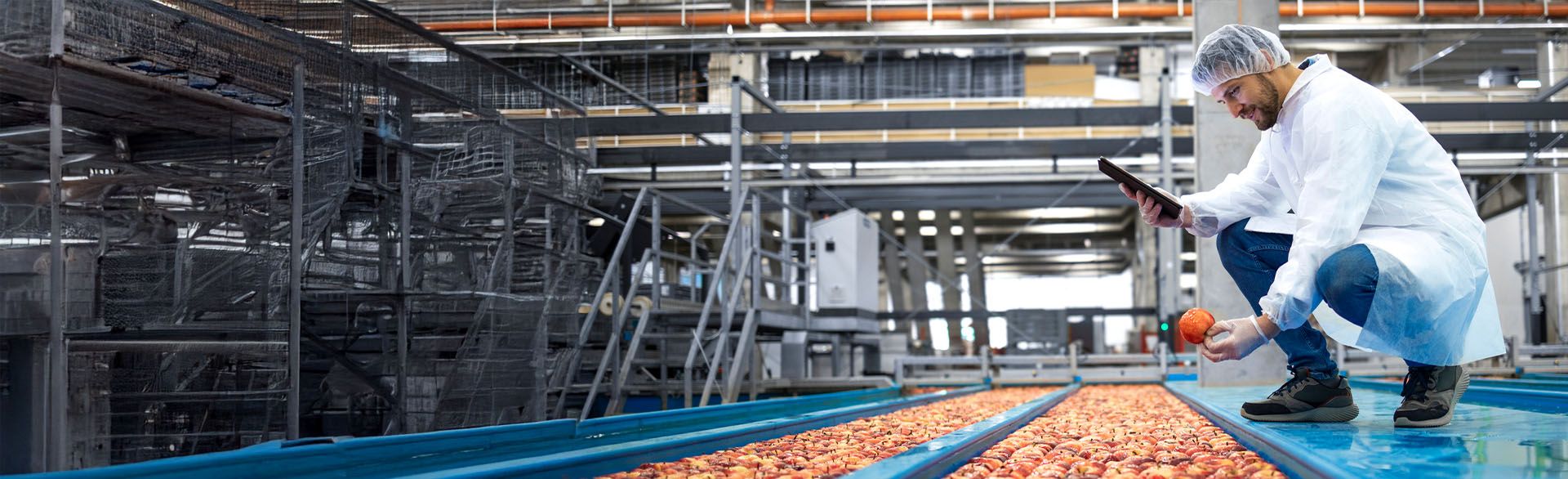 Food Safety