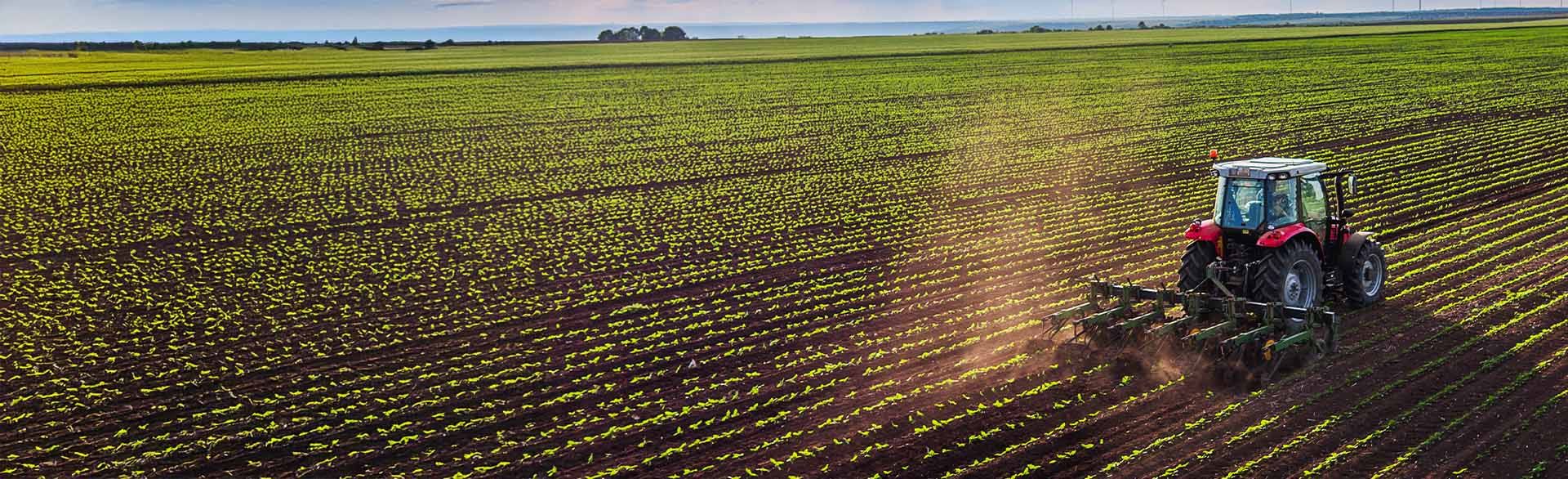 Agricultura Sustentável
