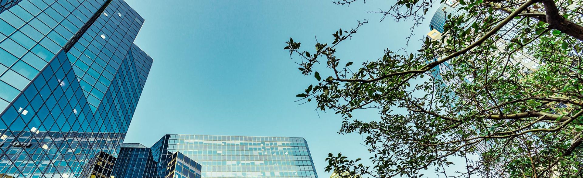 Sustentabilidade Corporativa