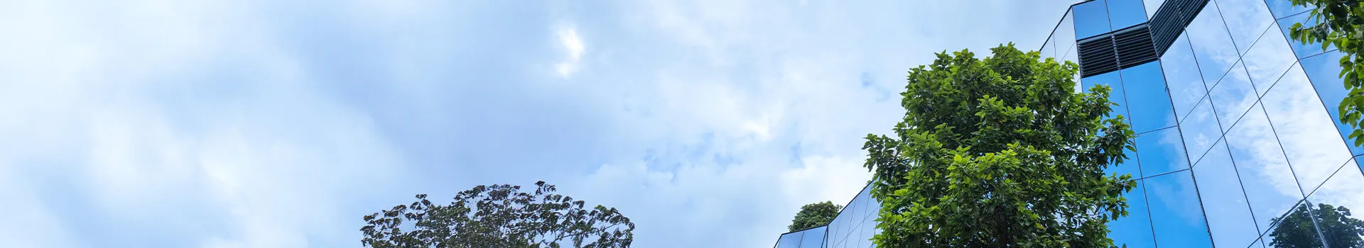 EU-emissiehandelssysteem (EU ETS)