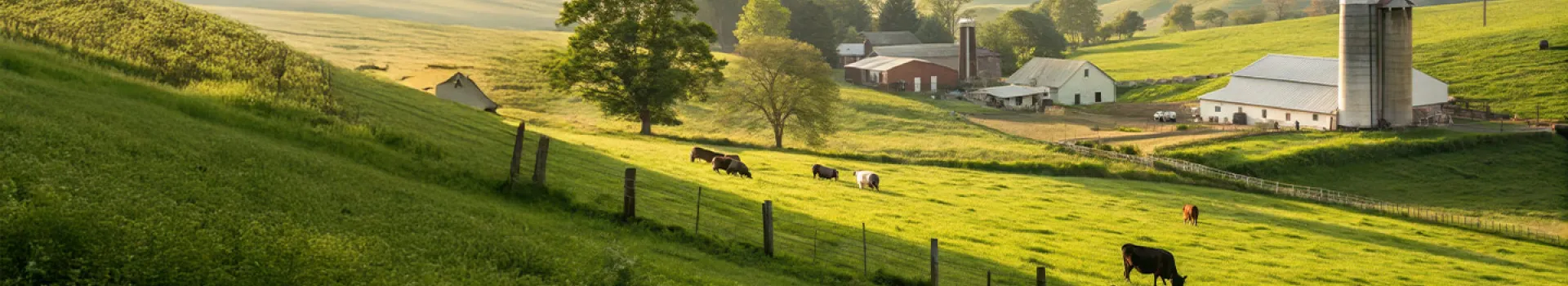 Chiến lược tìm nguồn cung ứng có trách nhiệm