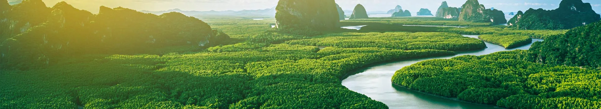 Overlooking River