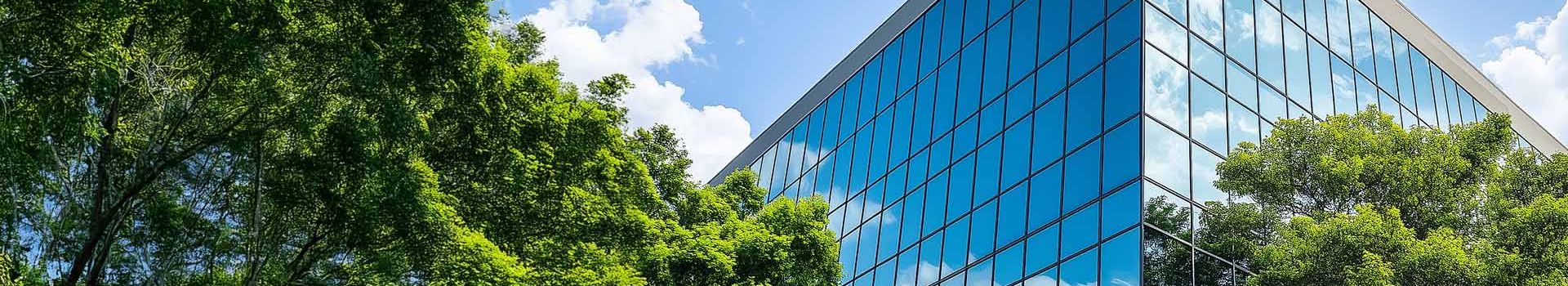 Corporate Sustainability