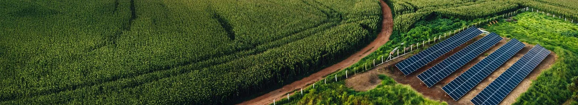 Responsibly Sourced | SCS Global Services