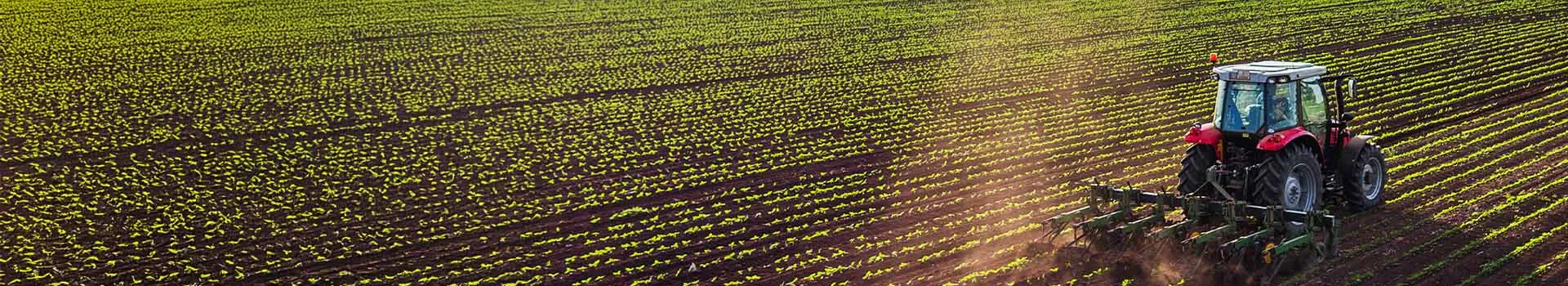 Sustainable Agriculture