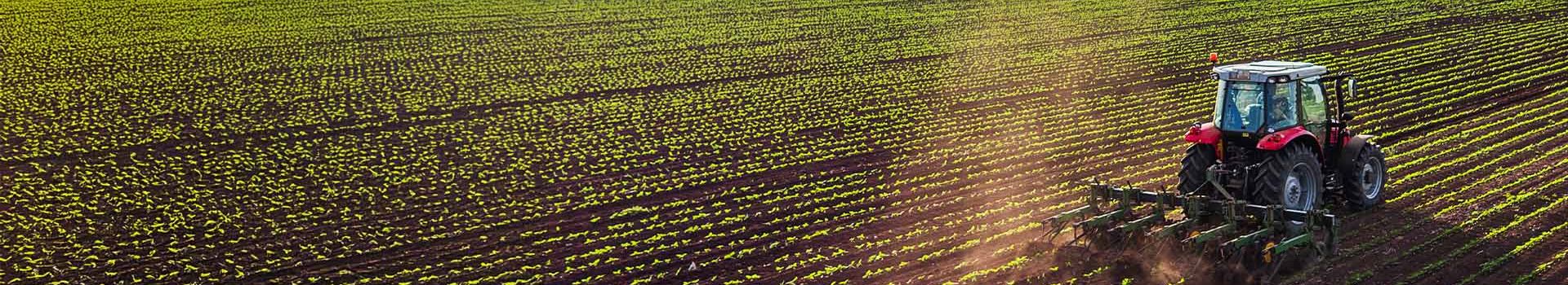 Sustainable Agriculture