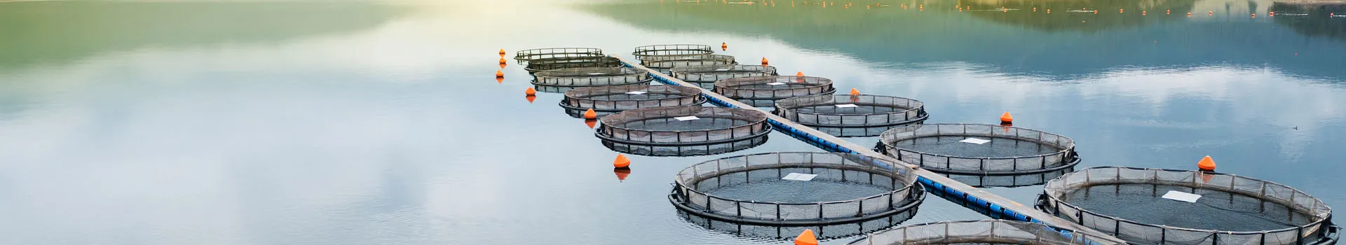 Sustainable Fisheries and Seafood