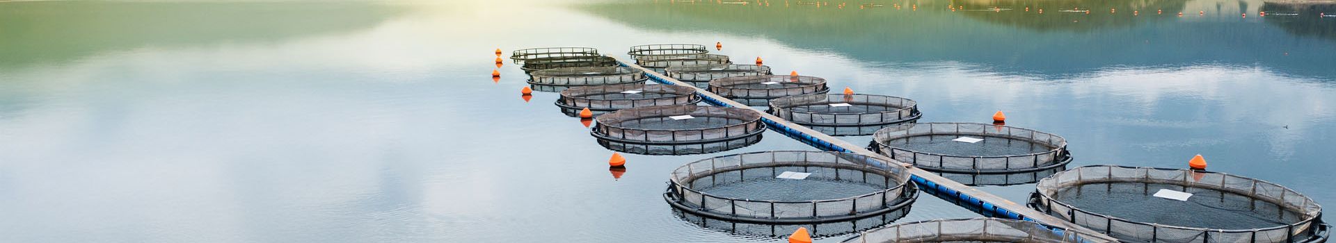 Sustainable Fisheries and Seafood