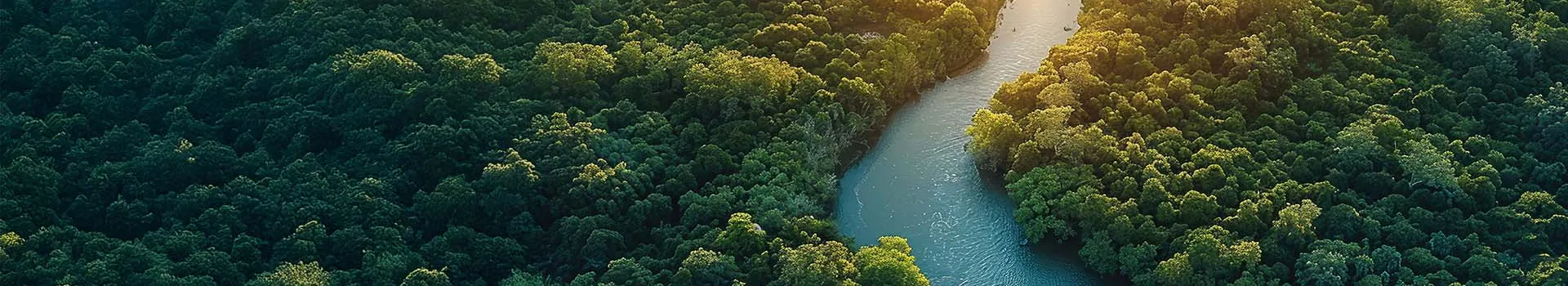Sustainable Forestry