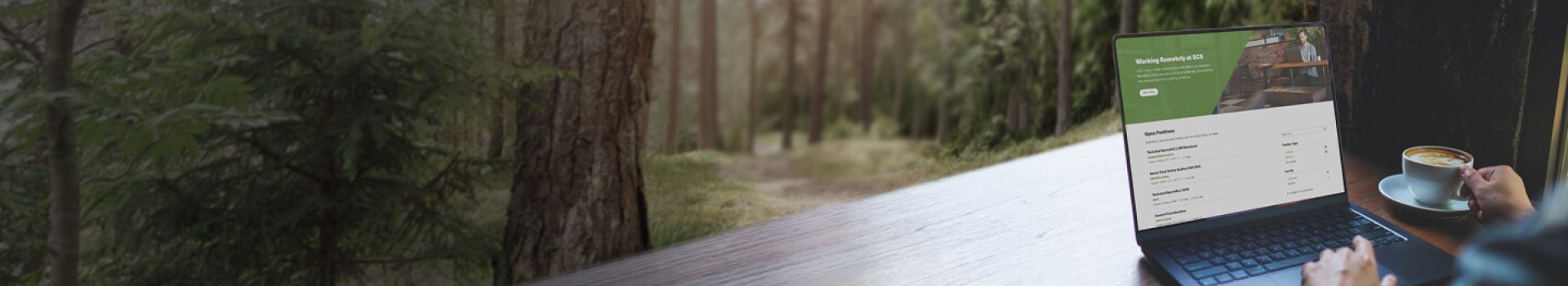 Remote work in forest