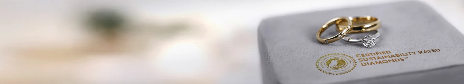 Diamond Ring on Case