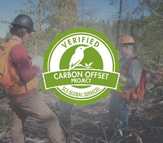 Inventario de gases de efecto invernadero y verificación de compensaciones de carbono