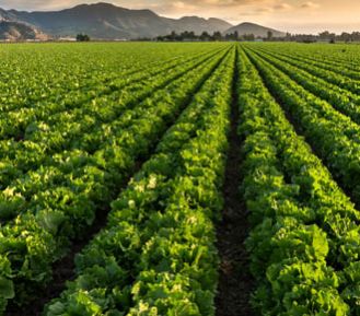 Certificación NutriClean®