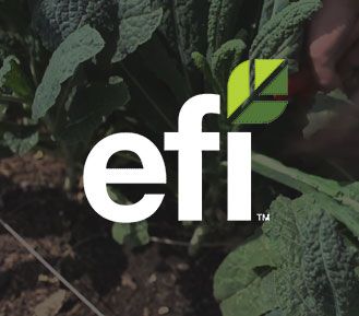 Iniciativa por una alimentación equitativa