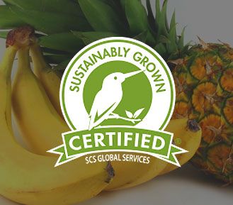 Expansión mundial de Sustainably Grown