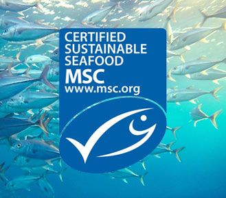 Consejo de Administración Marina